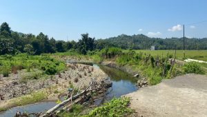 Jalan Penghubung Lima Desa di Tapango Putus, Abrasi Sungai Ancam Ratusan Hektar Sawah