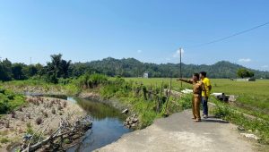 Dampak Abrasi Sungai, Ratusan Hektar Sawah Milik Warga Tapango Tidak Tergarap Selama 3 Tahun