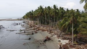 Abrasi Pantai Mampie Kian Parah, Irfan Pahri Desak Pemerintah Segera Bertindak