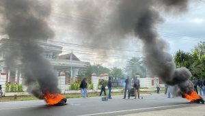 Jaringan Oposisi Loyal Desak DPRD Polman Tindak Eksploitasi Anak dan Kebocoran Pajak