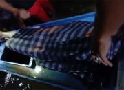 Warga Tinambung Tewas Diterkam Buaya Saat Mandi di Bantaran Sungai