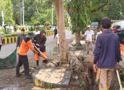 Upaya Tekan Banjir di Polewali, Lintas Instansi Keruk dan Bersihkan Drainase