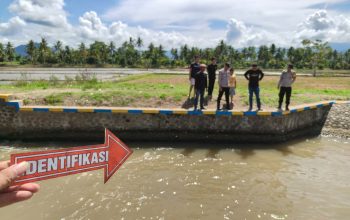 Anak 9 Tahun di Wonomulyo Tewas Diduga Tenggelam di Saluran Irigasi, Kapolsek Turun ke TKP
