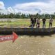 Anak 9 Tahun di Wonomulyo Tewas Diduga Tenggelam di Saluran Irigasi, Kapolsek Turun ke TKP