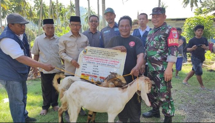 166 Ekor Kambing Dibagikan ke Warga Polman, Bupati: Harus Jadi Sumber Penghasilan