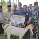 166 Ekor Kambing Dibagikan ke Warga Polman, Bupati: Harus Jadi Sumber Penghasilan