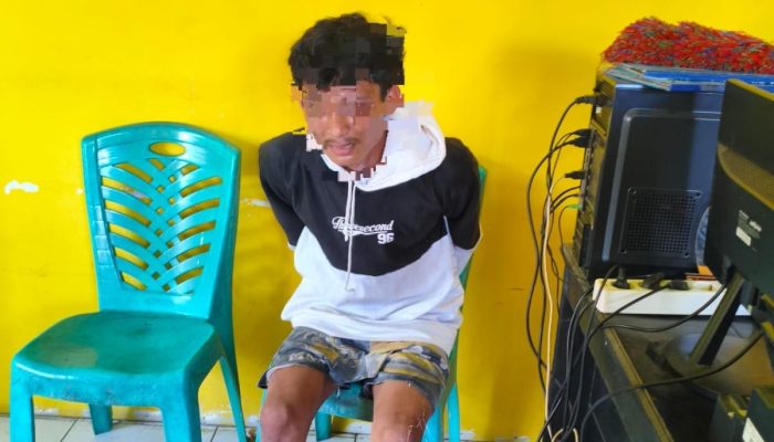 Diduga Curi Motor dan Ponsel di Campalagian Polman, Pria 26 Tahun Diamankan 