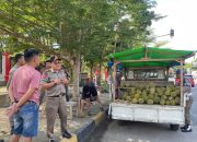 Satpol PP Polman Tertibkan Lapak Durian di Depan Rujab Bupati, Pedagang Diminta Pindah