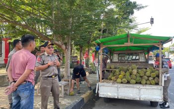 Satpol PP Polman Tertibkan Lapak Durian di Depan Rujab Bupati, Pedagang Diminta Pindah