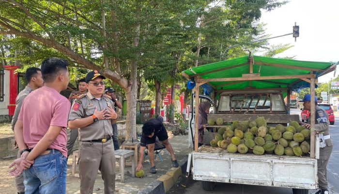 Satpol PP Polman Tertibkan Lapak Durian di Depan Rujab Bupati, Pedagang Diminta Pindah