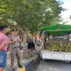 Satpol PP Polman Tertibkan Lapak Durian di Depan Rujab Bupati, Pedagang Diminta Pindah