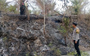 Polisi Padamkan Kebakaran Lahan di Desa Tenggelang Polman, 15 Meter Persegi Terbakar