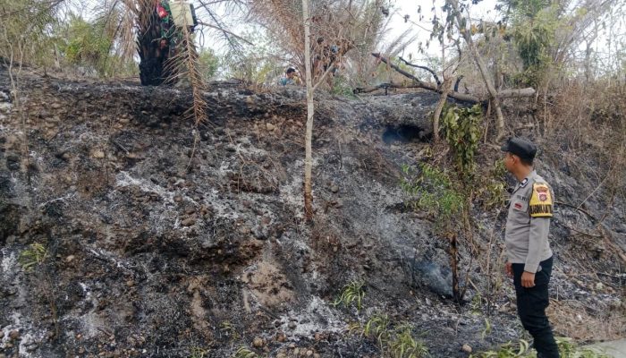 Polisi Padamkan Kebakaran Lahan di Desa Tenggelang Polman, 15 Meter Persegi Terbakar
