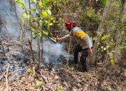 Kebakaran Lahan di Mombi Polman, Polsek Alu dan Warga Berjibaku Padamkan Api