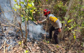 Kebakaran Lahan di Mombi Polman, Polsek Alu dan Warga Berjibaku Padamkan Api