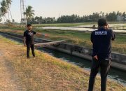 Tragis, Anak 5 Tahun Ditemukan Tak Bernyawa di Saluran Irigasi Mapilli Barat