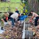 Wujudkan Gerbang Binuang, Camat Bersama Warga Bersihkan Sampah di Pesisir Pantai Sappoang