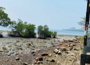 Dari Tumpukan Sampah Menuju Destinasi Wisata, Pantai Sappoang Diproyeksikan Jadi Ikon Polman