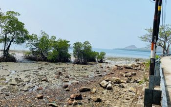 Dari Tumpukan Sampah Menuju Destinasi Wisata, Pantai Sappoang Diproyeksikan Jadi Ikon Polman