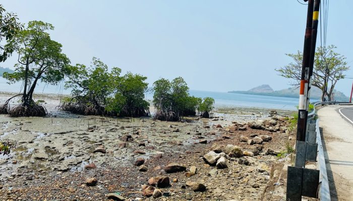 Dari Tumpukan Sampah Menuju Destinasi Wisata, Pantai Sappoang Diproyeksikan Jadi Ikon Polman